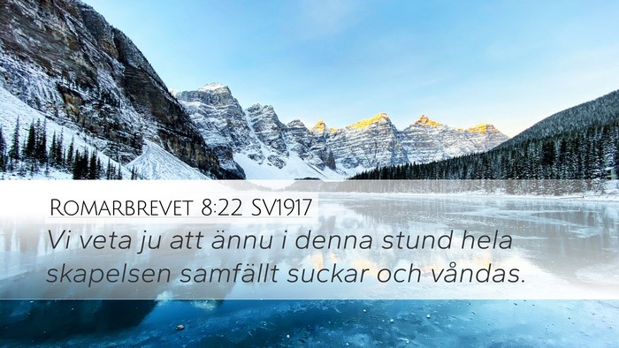 Romarbrevet 8:22 SV1917 Bible Verse Image