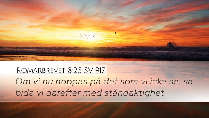 Romarbrevet 8:25 SV1917 Bible Verse Image