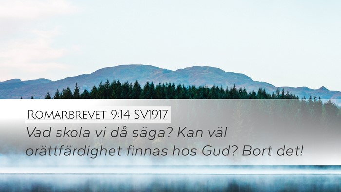 Romarbrevet 9:14 SV1917 Bible Verse Image