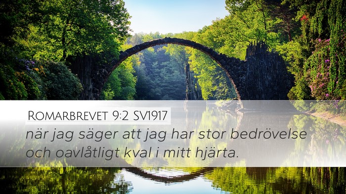 Romarbrevet 9:2 SV1917 Bible Verse Image