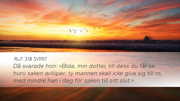 Rut 3:18 SV1917 Bible Verse Image