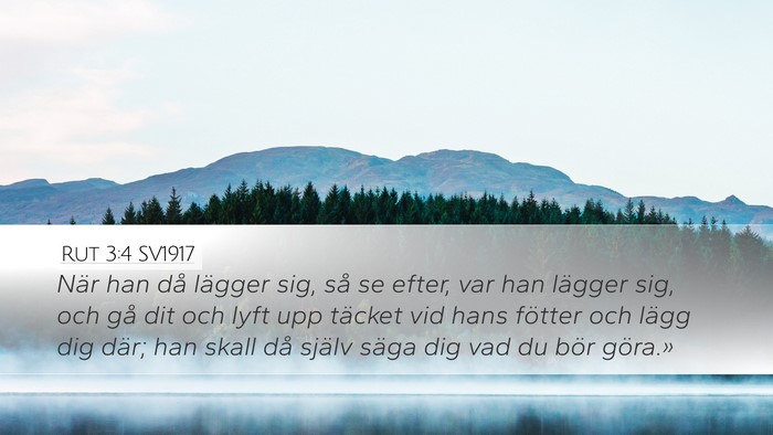 Rut 3:4 SV1917 Desktop Wallpaper - När han då lägger sig, så se efter, var han - Desktop Bible Verse Wallpaper