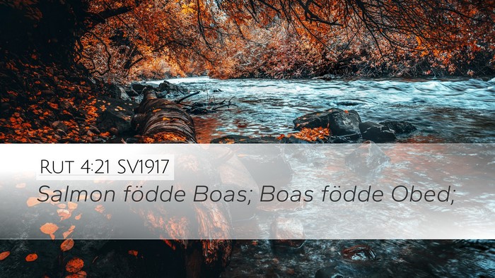 Rut 4:21 SV1917 Bible Verse Image