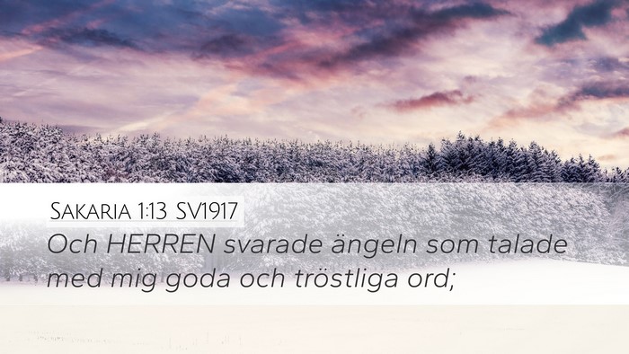 Sakaria 1:13 SV1917 Bible Verse Image