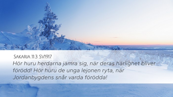Sakaria 11:3 SV1917 Bible Verse Image