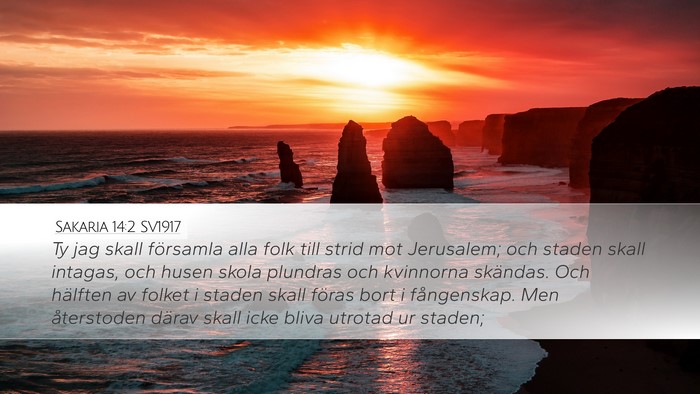 Sakaria 14:2 SV1917 Bible Verse Image
