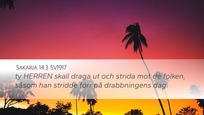 Sakaria 14:3 SV1917 Bible Verse Image