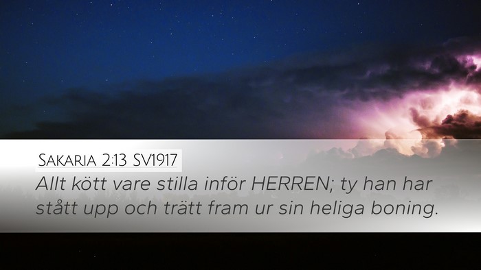 Sakaria 2:13 SV1917 Bible Verse Image