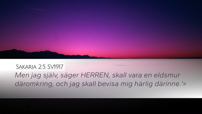 Sakaria 2:5 SV1917 Bible Verse Image