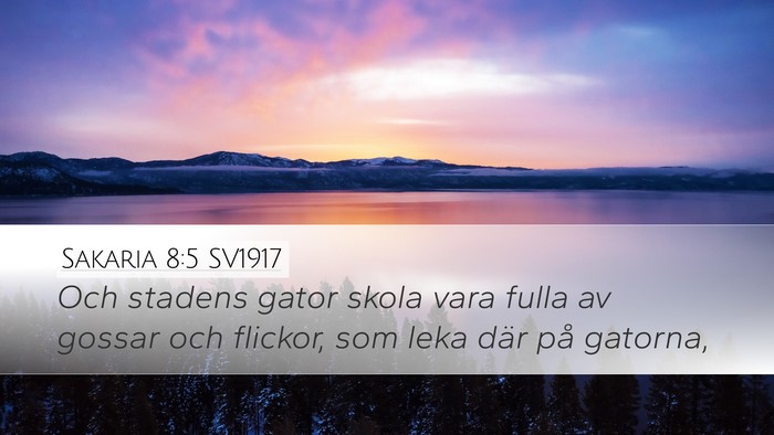 Sakaria 8:5 SV1917 Bible Verse Image