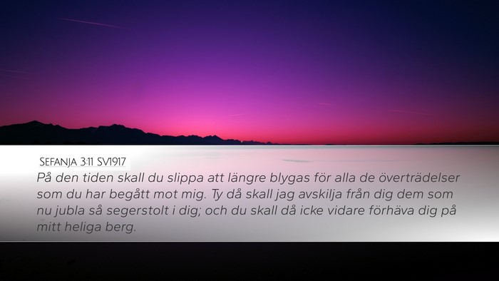 Sefanja 3:11 SV1917 Bible Verse Image