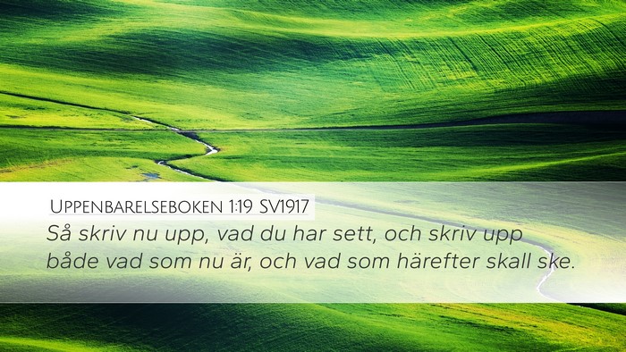 Uppenbarelseboken 1:19 SV1917 Bible Verse Image