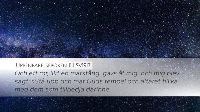 Uppenbarelseboken 11:1 SV1917 Bible Verse Image
