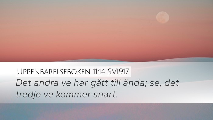 Uppenbarelseboken 11:14 SV1917 Bible Verse Image