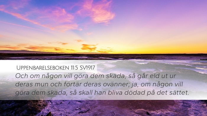 Uppenbarelseboken 11:5 SV1917 Bible Verse Image