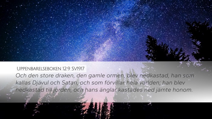 Uppenbarelseboken 12:9 SV1917 Bible Verse Image