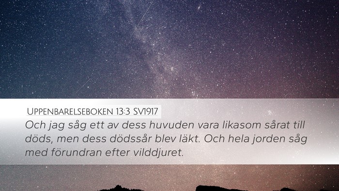 Uppenbarelseboken 13:3 SV1917 Bible Verse Image