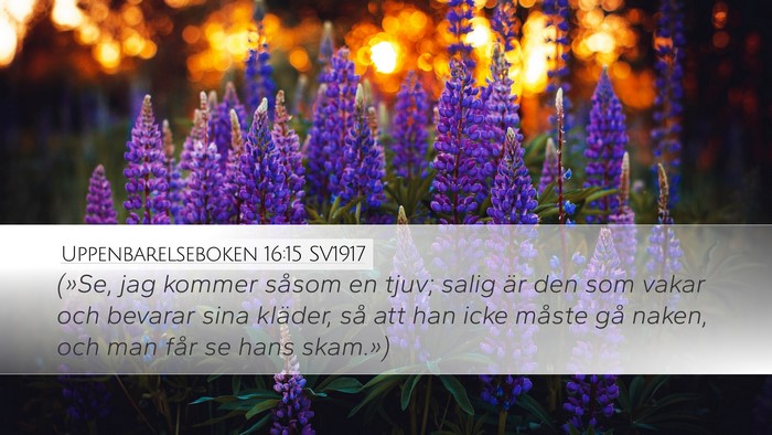 Uppenbarelseboken 16:15 SV1917 Bible Verse Image