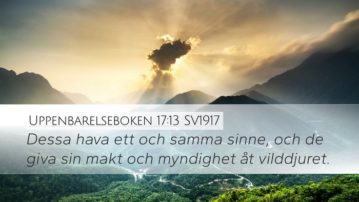 Uppenbarelseboken 17:13 SV1917 Bible Verse Image