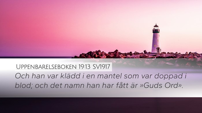 Uppenbarelseboken 19:13 SV1917 Bible Verse Image