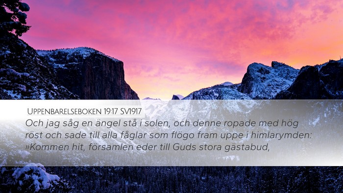 Uppenbarelseboken 19:17 SV1917 Bible Verse Image