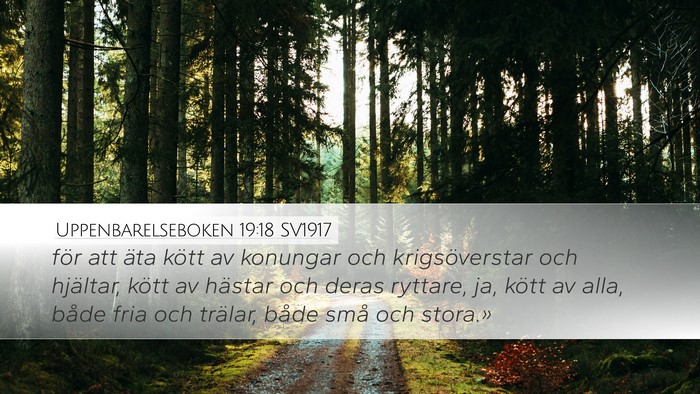 Uppenbarelseboken 19:18 SV1917 Bible Verse Image