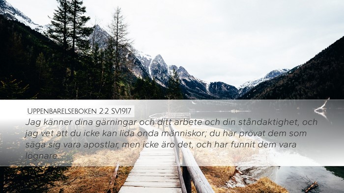 Uppenbarelseboken 2:2 SV1917 Bible Verse Image