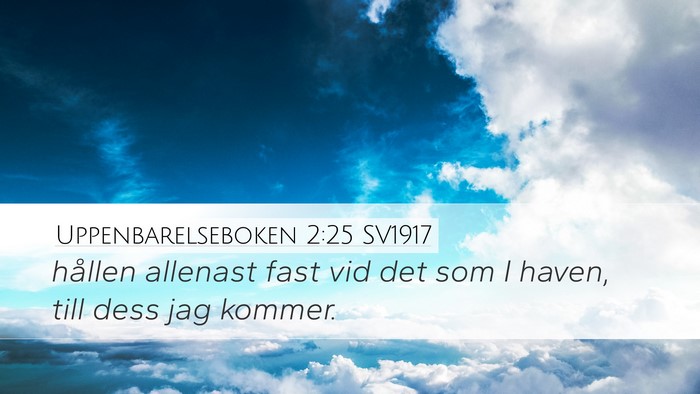 Uppenbarelseboken 2:25 SV1917 Bible Verse Image