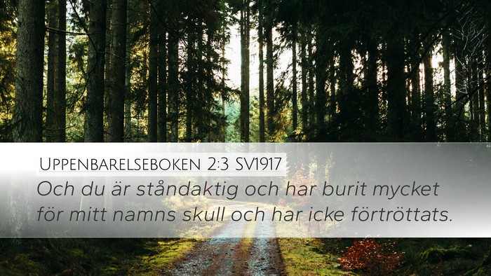Uppenbarelseboken 2:3 SV1917 Bible Verse Image
