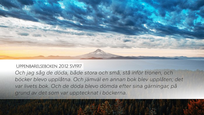 Uppenbarelseboken 20:12 SV1917 Bible Verse Image