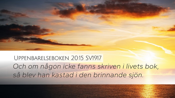 Uppenbarelseboken 20:15 SV1917 Bible Verse Image
