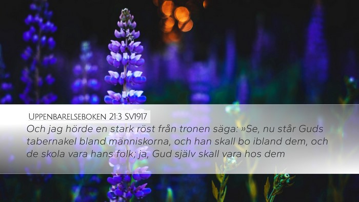 Uppenbarelseboken 21:3 SV1917 Bible Verse Image