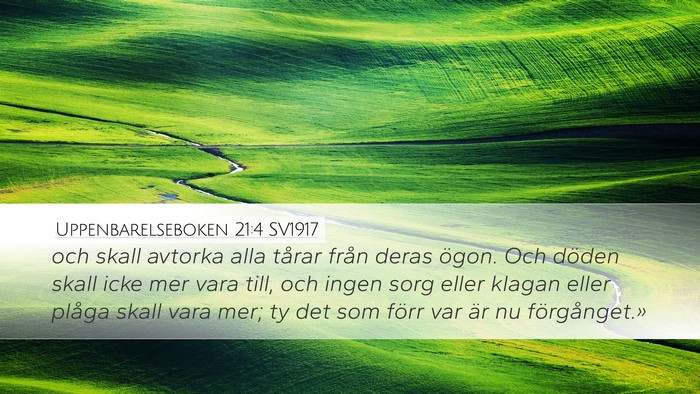 Uppenbarelseboken 21:4 SV1917 Bible Verse Image