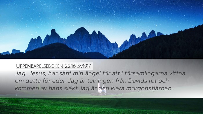 Uppenbarelseboken 22:16 SV1917 Bible Verse Image