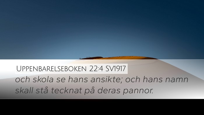 Uppenbarelseboken 22:4 SV1917 Bible Verse Image