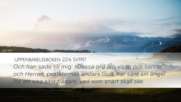 Uppenbarelseboken 22:6 SV1917 Bible Verse Image