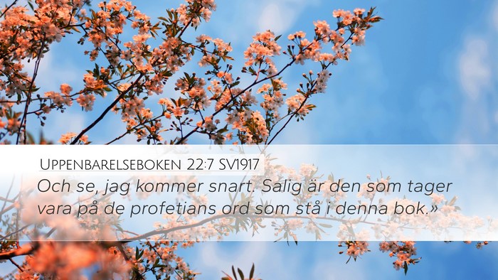Uppenbarelseboken 22:7 SV1917 Bible Verse Image