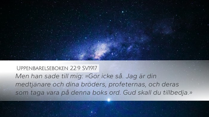 Uppenbarelseboken 22:9 SV1917 Bible Verse Image