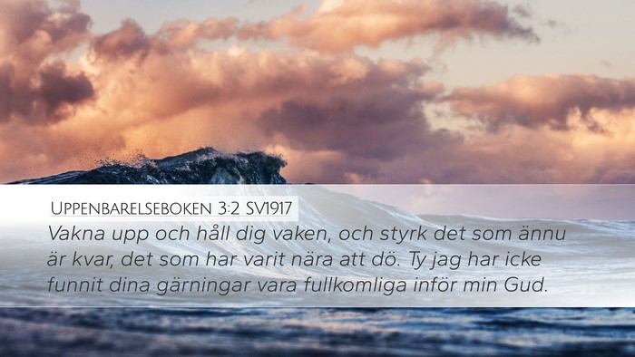 Uppenbarelseboken 3:2 SV1917 Desktop Wallpaper - Vakna upp och håll dig vaken, och styrk det som - Desktop Bible Verse Wallpaper