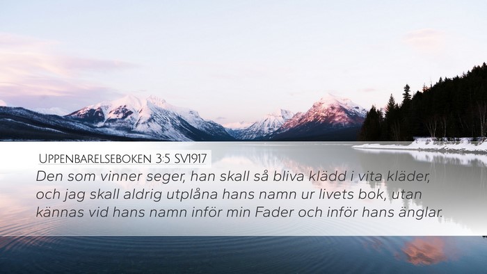 Uppenbarelseboken 3:5 SV1917 Bible Verse Image