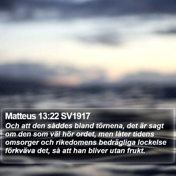 Matteus 13:22 SV1917 - Och att den såddes bland törnena, det är sagt