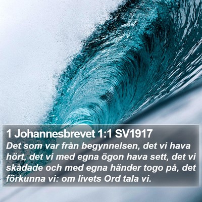 1 Johannesbrevet 1:1 SV1917 Bible Verse Image