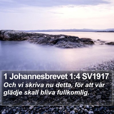 1 Johannesbrevet 1:4 SV1917 Bible Verse Image