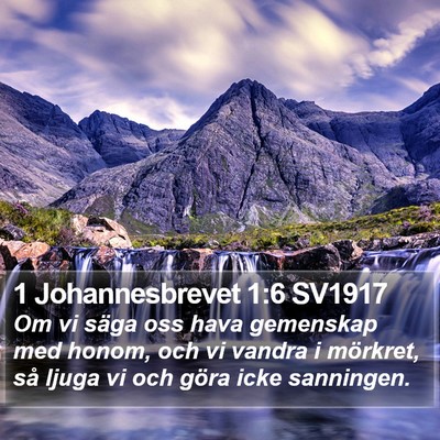 1 Johannesbrevet 1:6 SV1917 Bible Verse Image