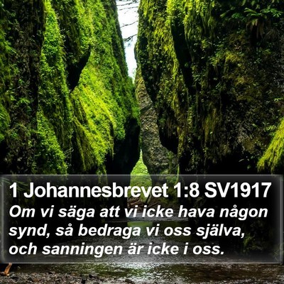 1 Johannesbrevet 1:8 SV1917 Bible Verse Image