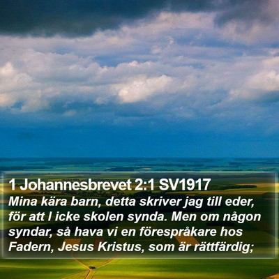1 Johannesbrevet 2:1 SV1917 Bible Verse Image