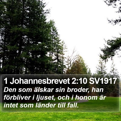 1 Johannesbrevet 2:10 SV1917 Bible Verse Image