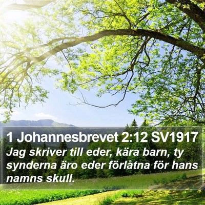1 Johannesbrevet 2:12 SV1917 Bible Verse Image