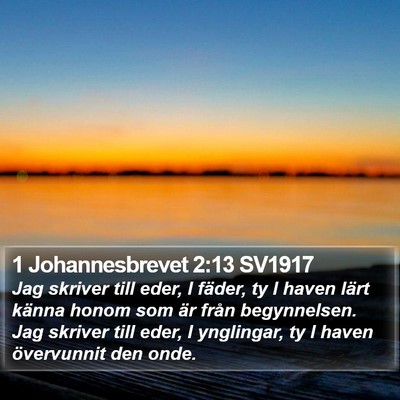 1 Johannesbrevet 2:13 SV1917 Bible Verse Image