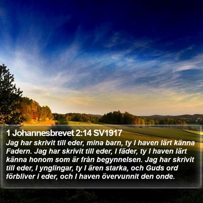 1 Johannesbrevet 2:14 SV1917 Bible Verse Image